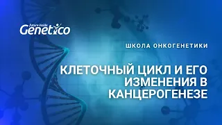 Клеточный цикл и его изменения в канцерогенезе