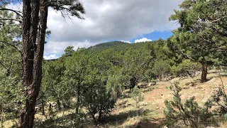 Arizona Trail Redemption Hike Passage 30 Anderson Mesa to Passage 29 Mormon Lake - Day 5