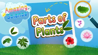 Amazing Science | Part of plants | Science for Kids | Easy Science 🌴🍁