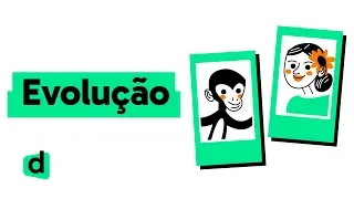 RESUMO SOBRE EVOLUÇÃO | QUER QUE DESENHE | DESCOMPLICA