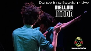 MELLOW MOOD VIDEO: Dance Inna Babylon (Live 2015)