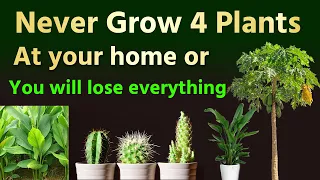 Vastu: Never Keep these plants in your home or you will lose everything | The Magical Indian