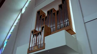 J.S. Bach - Fantasia and Fugue in G minor BWV 542 (Dirk Jan Versluis, organ)