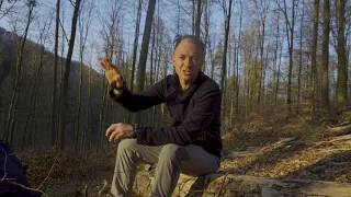 Walking two stages of the Jakobsweg - Easter 2021 - Rheinland-Pfalz, Germany