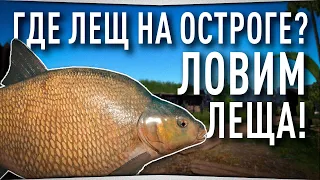 Ловля Леща на озере Старый Острог • Русская Рыбалка 4