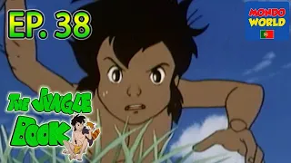 O LIVRO DA SELVA série animada | em Português | desenhos animados para crianças | episódio 38