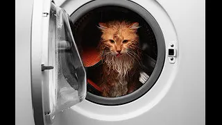 звук стиральной машинки,the sound of the washing machine,洗衣机的声音