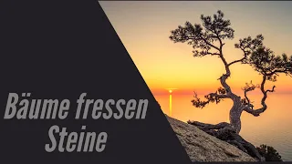 Bäume fressen Steine!