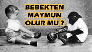 Bir Bebeği Bir Şempanzeyle Birlikte Büyütürsek Ne Olur?