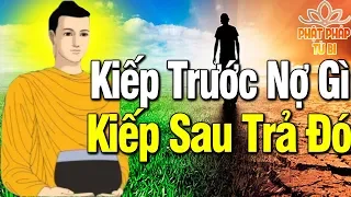 Kiếp Trước Nợ Gì Kiếp Này Trả Đó... Nhân Quả Báo Ứng Không Trừ 1 Ai #rất hay