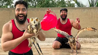 🦉 OWL KO NEHLA DYA 🥰 | SYED FAHAD |