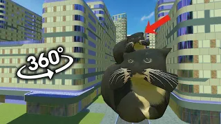 360° VR Maxwell the Cat found YOU in Real Life! #2