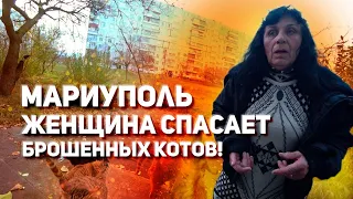 Мариуполь брошенным животным тоже нужна помощь!