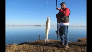 Pescando en Cuero de Zorro con El Dorado Pesca