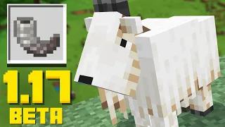 Minecraft just added in the Goat Mob EARLY. (1.17 Update)