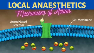 Mechanism of Action of Local Anaesthetics