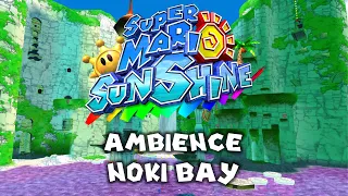 Super Mario Sunshine • Ambience Noki Bay • 4K