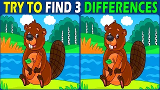 Spot The Difference : Only Genius Find Differences! [ Find the difference #268 ]