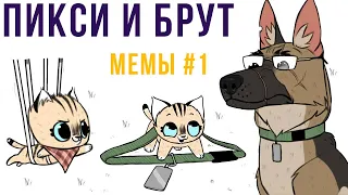 Пикси и Брут. Мемы #1 | Мемозг #364