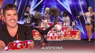 LEAK: The CUTEST Dog Act and Simon Cowell Is Real Happy! | America's Got Talent 2019