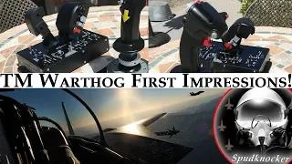 Thrustmaster Warthog HOTAS Fight Flight & Impressions! | Feat. Heablur's DCS: F-14B Tomcat