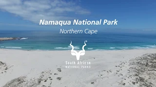 Namaqua National Park: where to coast meets the greatest flower show on earth