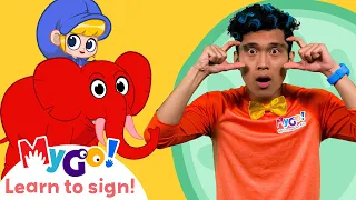 Learn Sign Language with Morphle! The Giant Zoo Animals | MyGo! | ASL for Kids