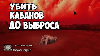 Что будет если УБИТЬ КАБАНОВ ДО ВЫБРОСА Сталкер Чистое небо