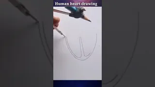 human heart drawing in easy way