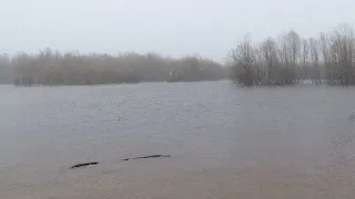 Вода в Оби в районе Нижневартовска продолжает подниматься