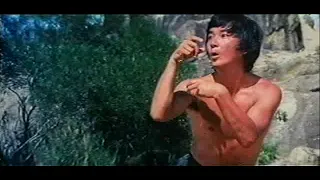 Kung Fu Genius / Гения на Кунг фу (1979) Бг аудио