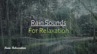 Sleep within 5 minutes with Rain, Mighty Wind & Thunder Sounds