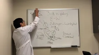 Third nerve palsy vs. Edinger Westphal lesion