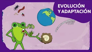 Evolución y adaptación | Planeta Darwin | Ciencias naturales