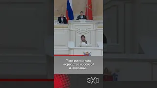 «Скибиди-туалет» показали депутатам Санкт-Петербурга