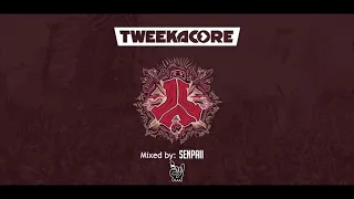 Defqon 1   Tweekacore b2b Darren Styles HQ defqon set