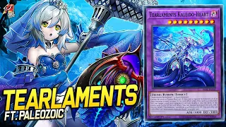 Deck Tearlaments Paleozoic| EDOPRO | Replays 🎮 + Decklist ✔️