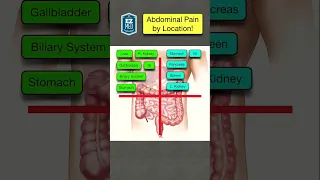 🔥 Causes of Abdominal Pain in 60 SECONDS! [Differential Diagnosis by Location & Quadrant]