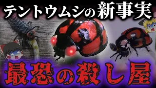 【悲報】テントウムシさん…幼虫時代から最強の殺し屋だった…