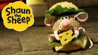 Hide and Squeak | Shaun the Sheep | S2 Full Episodes