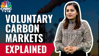 Issues with Voluntary Carbon Markets | Green Credits & Greenwashing | CNBC TV18 Explainer