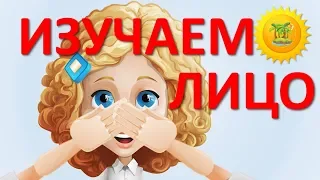 Смотреть мультики про лицо. Маленький Остров покажет мультики для детей и малышей.