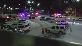 5 in custody after Mall of America shooting