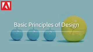 Design Principles Course Trailer | Adobe Design Principles Course