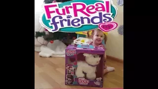 FurReal Friends Hasbro Интерактивная игрушка- щенок GoGo .Каролина играет с интерактивной собакой