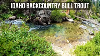 Exploring Idaho's Backcountry for the BEST BULL TROUT Streams