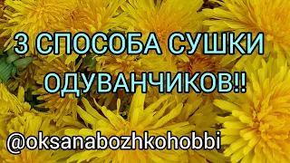 Как сушить одуванчики. 3 способа сушки одуванчиков.Сухоцветы из одуванчиков своими руками.Handmade.