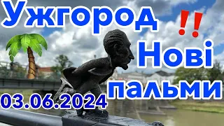 ‼️УЖГОРОД в ЧЕРВНІ‼️НОВІ ПАЛЬМИ🌴ЦЕНТР МІСТА‼️3.06.2024