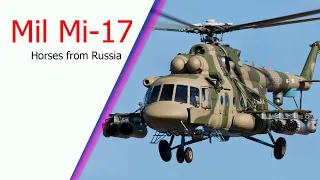 Despite Russia-Ukraine tension, the Philippines still buys 17 Russian-made Mil Mi-17 helicopters