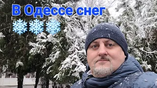 Снег в Одессе!!!❄️❄️❄️ 13.12.22